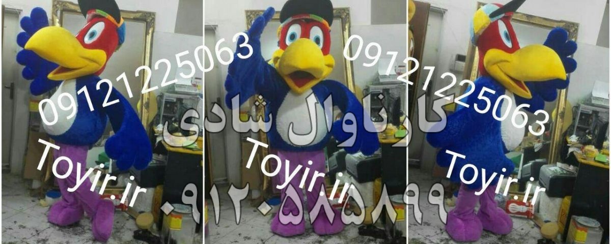 عروسک تنپوش کلاغ