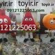 عروسک تنپوش انار هندونه کدو تنبل
