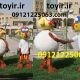 عروسک تنپوش بزغاله فانتزی چاق و لاغر