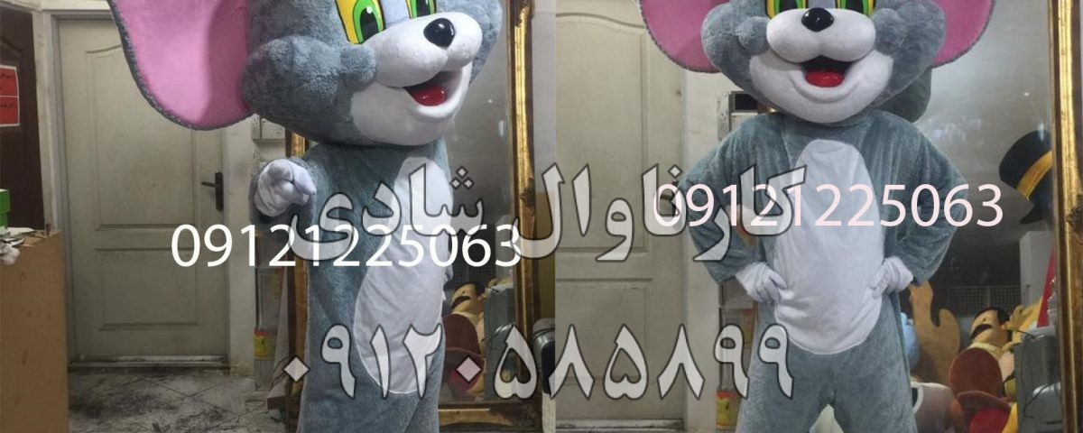 عروسک تنپوش تام