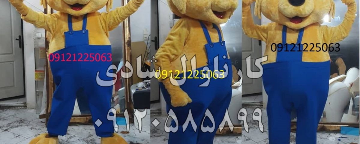 عروسک تنپوش خرس شجاع