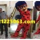 عروسک تنپوش دختر کفشدوزکی