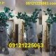 عروسک تنپوش درخت چنار