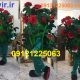 عروسک تنپوش گل سرخ
